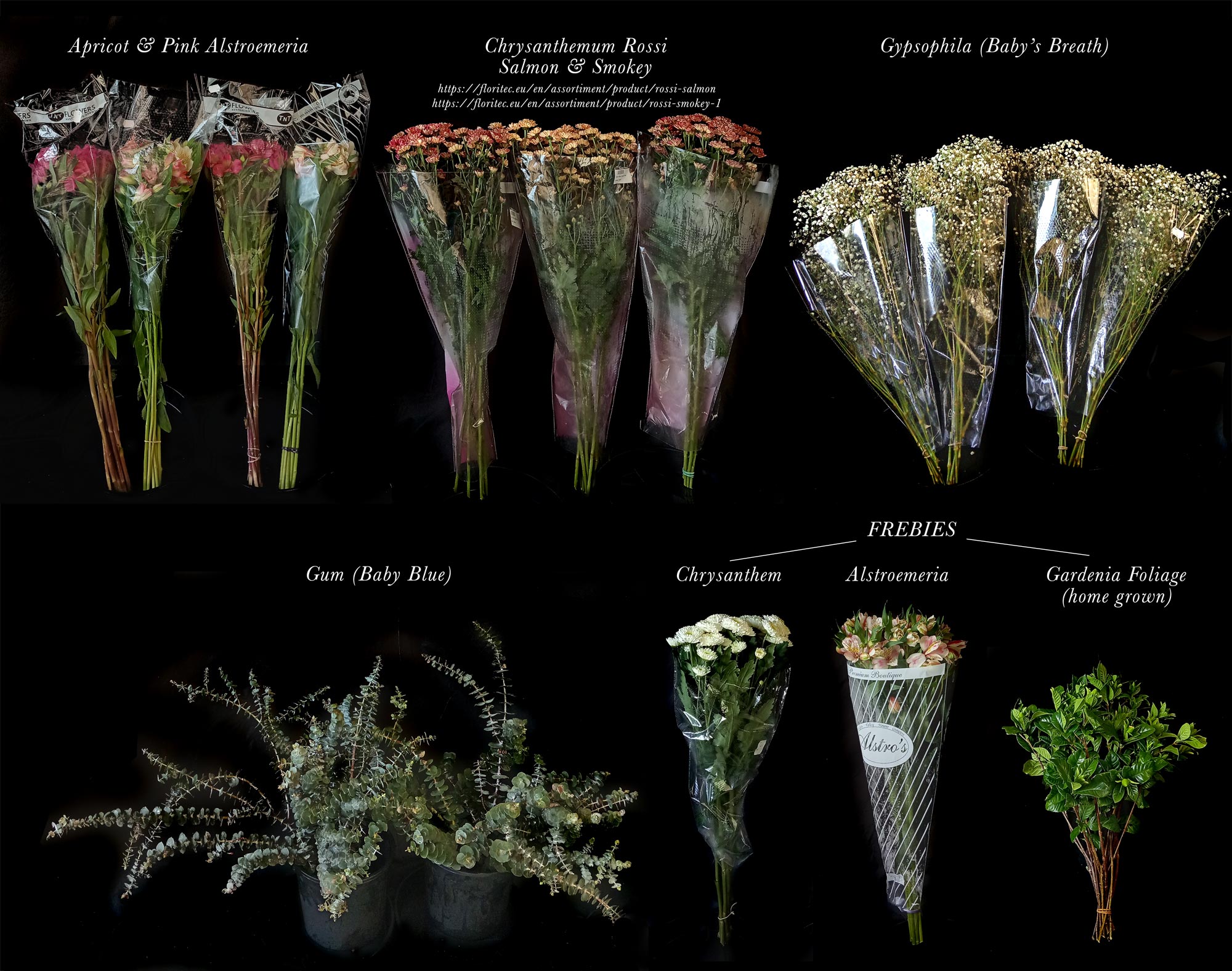 BULK FLOWERS