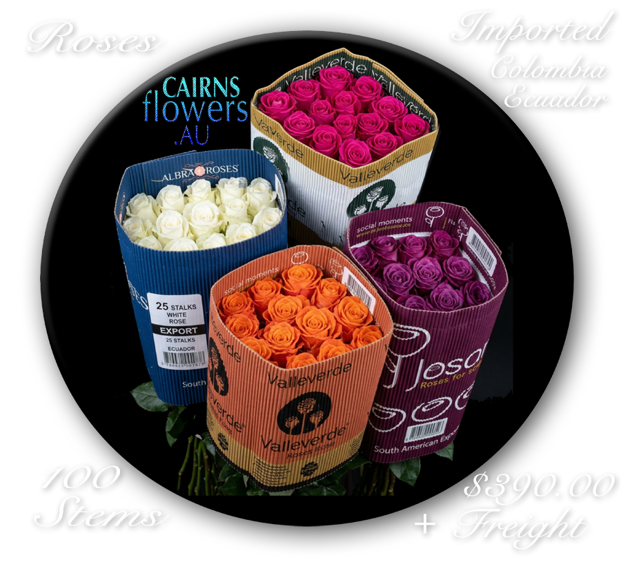 South American Roses