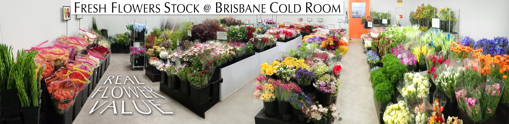 BULK FLOWERS SUPPLIER